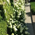 Maison Alliod Bed & Breakfast 4*