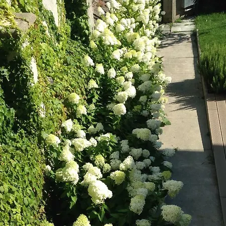 Maison Alliod Bed and breakfast 4*