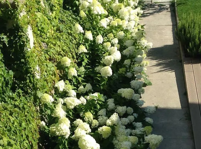 Maison Alliod Couette-café 4*